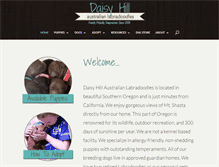 Tablet Screenshot of daisyhilllabradoodles.com